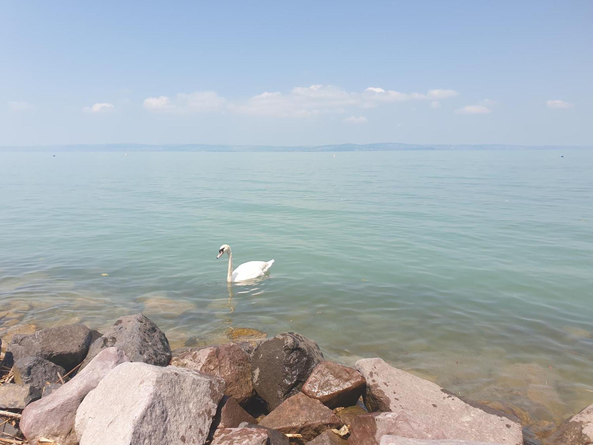Balaton Lakeside Residence Siofok Exterior photo
